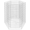 sekskantet gabion-højbed 100x90x100 cm