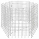 sekskantet gabion-højbed 160x134x100 cm