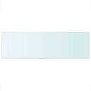 hylde glaspanel klar 80x25 cm