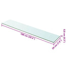 hylde glaspanel klar 100x20 cm