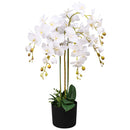 kunstig orkidéplante med potte 75 cm hvid