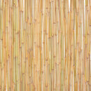 bambushegn 300 x 100 cm