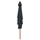 parasol 200x300 cm træstang antracitgrå