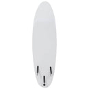 surfboard 170 cm blad