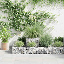 gabion-plantekasse galvaniseret stål 120 x 120 x 20 cm