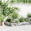 gabion-plantekasse galvaniseret stål 120 x 120 x 20 cm