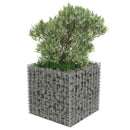 gabion-højbed 50x50x50 cm galvaniseret stål