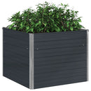 hævet plantekasse 100x100x77 cm galvaniseret stål antracitgrå