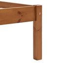 sengestel 100x200 cm massivt fyrretræ honningbrun