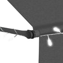 markise m. LED-lys manuel betjening 100 cm antracitgrå