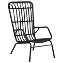havestol polyrattan sort