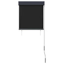 udendørs rullegardin 60x250 cm antracitgrå