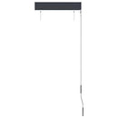 udendørs rullegardin 60x250 cm antracitgrå