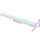 hylder 2 stk. glaspanel 100 x 12 cm klar
