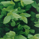 haveskærm 35x0,19 m PVC grøn