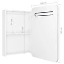 badeværelsesskab med spejl + LED-lys 60x11x80 cm skinnende hvid