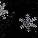 juletræ med LED-snefnug 64 cm fiberoptik sort