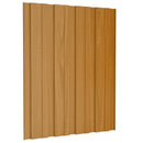 Tagpanel 12 pcs Naturfarvet 60 x 45 cm Galvaniseret stål