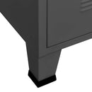 industrielt opbevaringsskab 75x40x115 cm metal antracitgrå