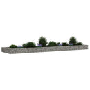 gabion-højbed 400x100x20 cm galvaniseret stål