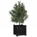 plantekasser 2 stk. 31x31x31 cm massivt fyrretræ sort