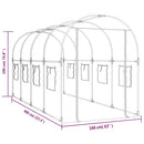 drivhus 160x400x190 cm PVC og pulverlakeret stål transparent