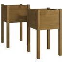 plantekasser 2 stk. 40x40x70 cm massivt fyrretræ gyldenbrun