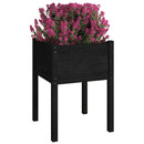 plantekasser 2 stk. 50x50x70 cm massivt fyrretræ sort