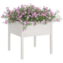 plantekasser 2 stk. 70x70x70 cm massivt fyrretræ hvid