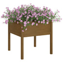 plantekasser 2 stk. 70x70x70 cm massivt fyrretræ gyldenbrun