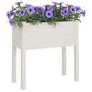 plantekasser 2 stk. 70x31x70 cm massivt fyrretræ hvid