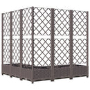 plantekasse med espalier 120x120x121,5 cm PP brun
