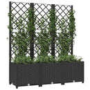 haveplantekasse med espalier sort 120x40x136 cm PP