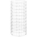 gabionsøjle Ø50x100 cm galvaniseret stål rund
