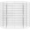 gabion-højbed 120x50x100 cm galvaniseret jern