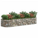 gabion-højbed 300x100x50 cm galvaniseret jern
