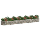 gabion-højbed 600x100x50 cm galvaniseret jern