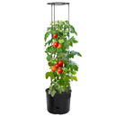 plantekrukke til tomater Ø39x150 cm polypropylen antracitgrå