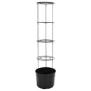 plantekrukke til tomater Ø39x150 cm polypropylen antracitgrå