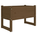 plantekasse 78x40x52 cm massivt fyrretræ gyldenbrun