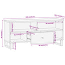 tv-bord 100x33,5x46 cm massivt mangotræ brun og sort