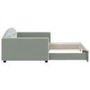 daybed med udtræk 100x200 cm velour lysegrå