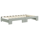 daybed med udtræk 90x190 cm velour lysegrå