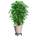 plantevogne 5 stk. med hjul 275 kg diam. 40 cm sort