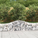buede gabionkurve 20 stk. 200x30x40/60 cm galvaniseret jern