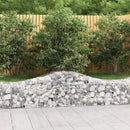 buede gabionkurve 2 stk. 200x50x40/60 cm galvaniseret jern