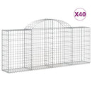 buede gabionkurve 40 stk. 200x30x80/100 cm galvaniseret jern