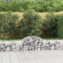 buede gabionkurve 2 stk. 200x50x40/60 cm galvaniseret jern