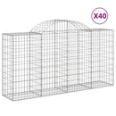 buede gabionkurve 40 stk. 200x50x100/120 cm galvaniseret jern