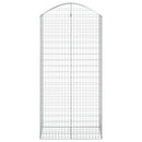 buet gabionkurv 100x50x200/220 cm galvaniseret jern